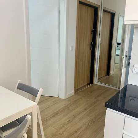 Near Chopin Airport *